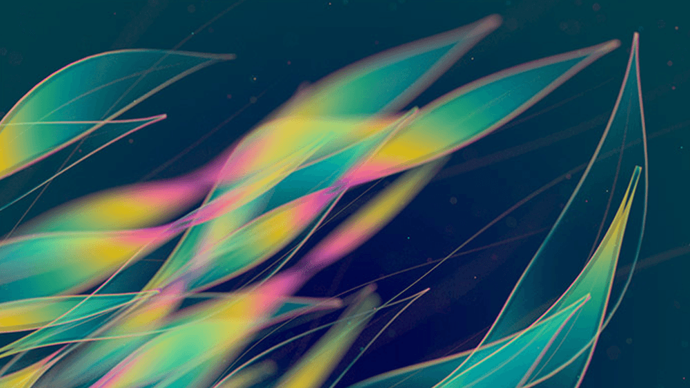 Decompression Zone Animation